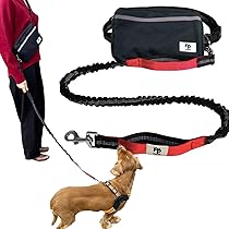 Amazon | fun pet 犬 リード ポーチ付き 犬用リード ハンズ